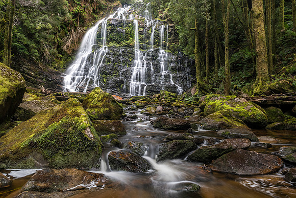 Nelson Falls, West Coast, Tasmania