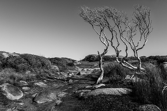 Twister Sisters, Granville Harbour, Tasmania