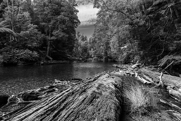 Styx River, Tasmania