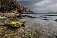 The Turtle, Guerilla Bay, NSW, Australia