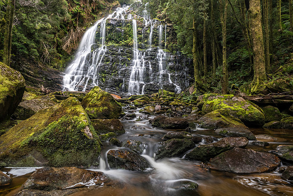 Nelson Falls, West Coast, Tasmania