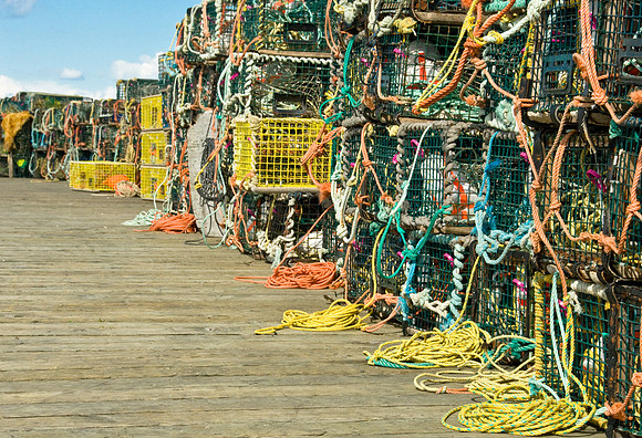 End of Lobster Season