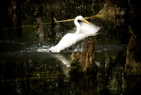 The Landing