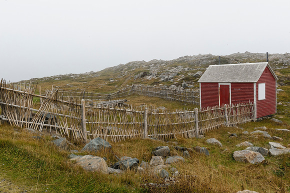 Cape Bonavista, Nfld