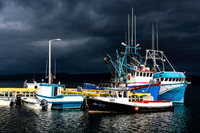 Brooding,  Frenchmans Cove, Newfoundland, Canada