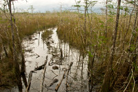 Beggining of the Rainy Season