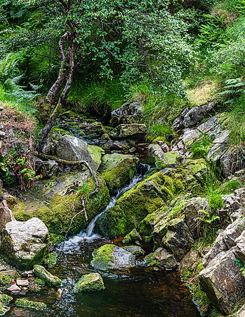 Glenevin Waterfall, County Donegal, Irealnd