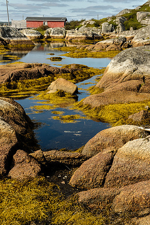 Pool's Island, New-Wes-Valley, Nfld