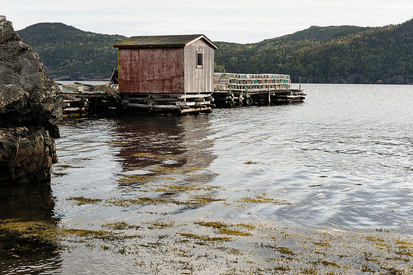 Summerville, Nfld