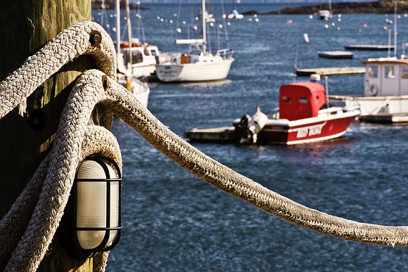 Love The Ropes