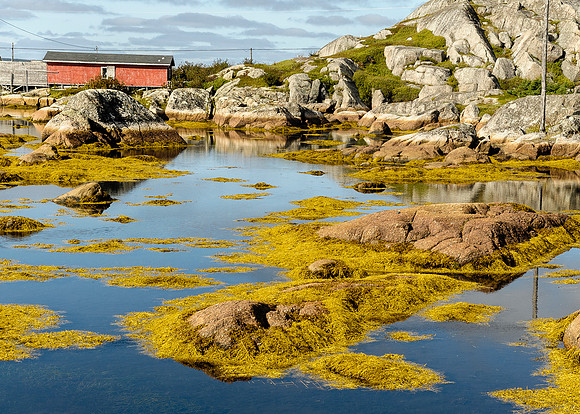 Pool's Island, New-Wes-Valley, Nfld