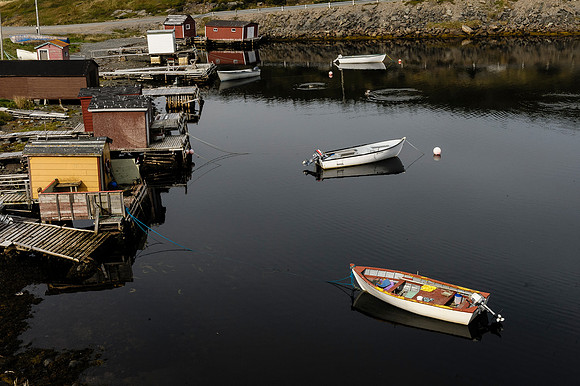 Herring Cove, Port Rexton, Nfld