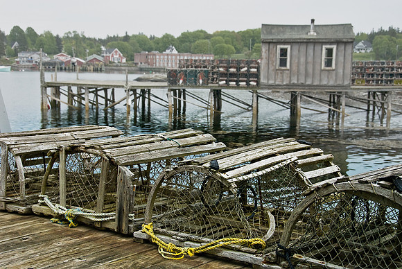Traps on the Dock