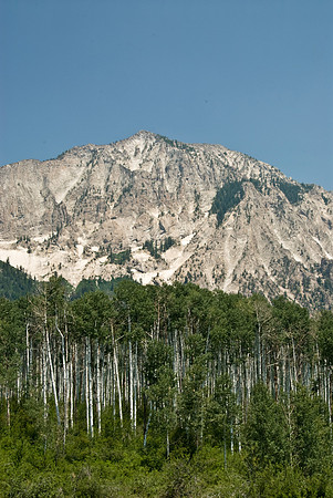 Aspen and Mountain 1