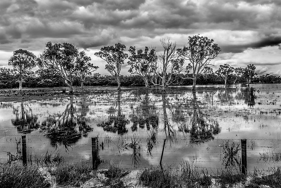 The Flooded Field, Longford, Gippsland, Victoria, Australia