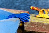 Blue Gloves, Lawn, Nfld