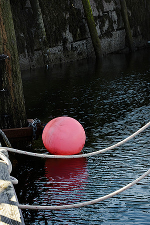 Bumper Ball On A Tightrope