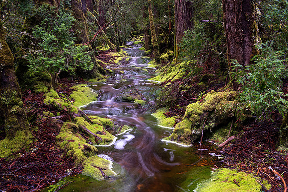 Weindorfers Forest, Cradle Mountain, Tasmania