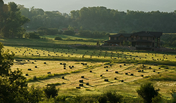 Sunrise on Farm