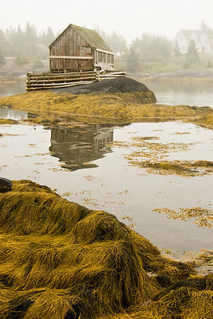 Old Fishing Shack 1