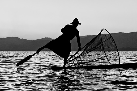 Ready To Fish