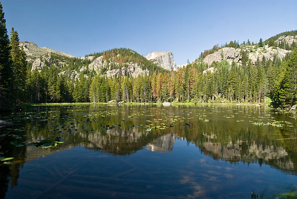 Early Morning Reflection 2