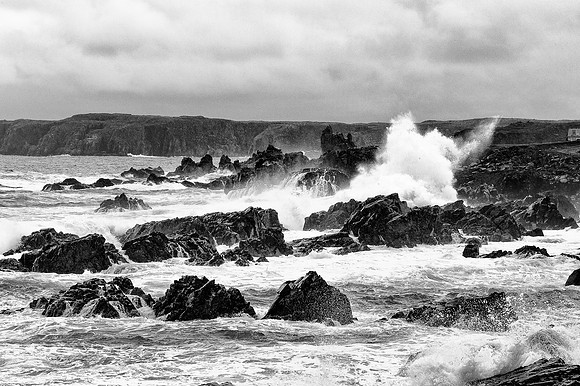 Elliston, Cape Bonavista, Nfld