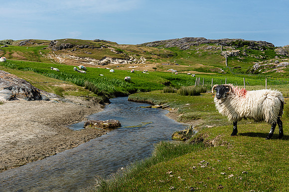 Westport's Secret West, County Mayo, Ireland