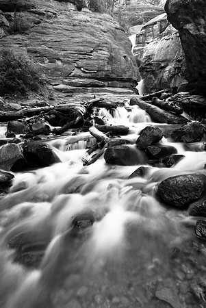 Waterfall (Black and White)