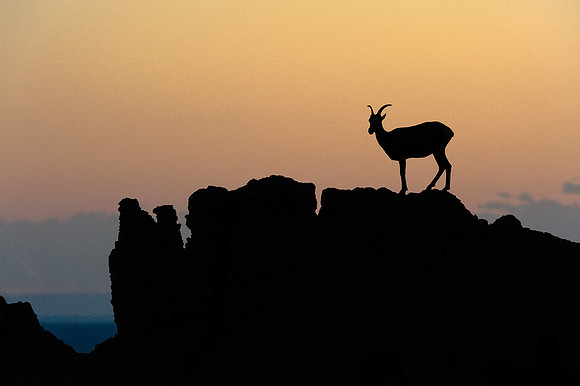 Alone At The top