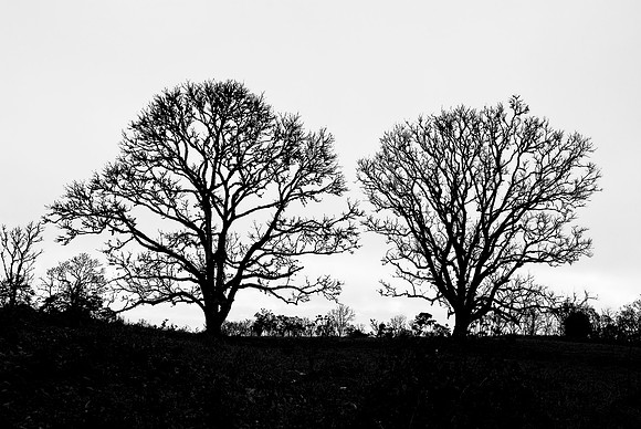 Two Sentinels