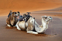 Morocco
