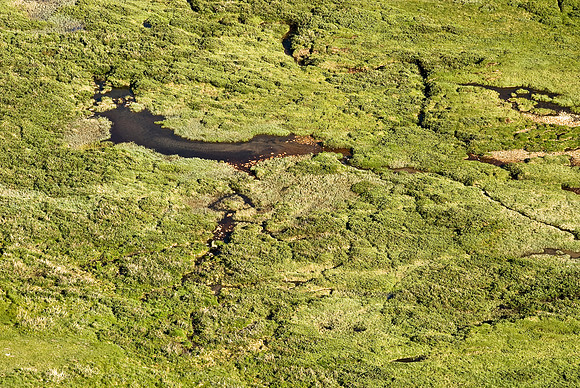 Valley Floor