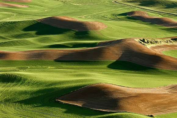 Green and Brown
