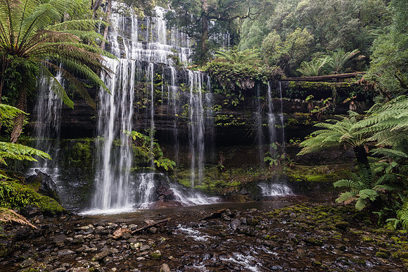 Russell Falls, Mount  Field, Tasmania