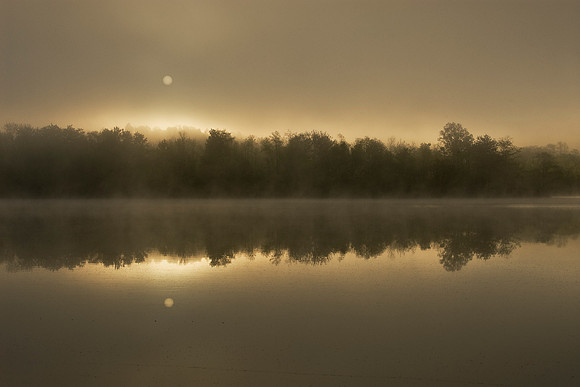 Early Morning Fog