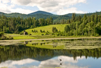 Pacific Northwest