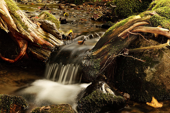 Small Fall