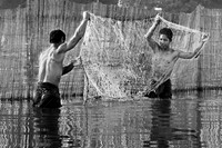 Checking the Net