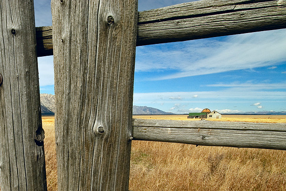 Forever On The Fence